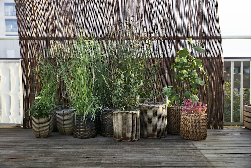 Drei Töpfe aus synthetischem Rattan mit schwarzen dekorativen Streifen.