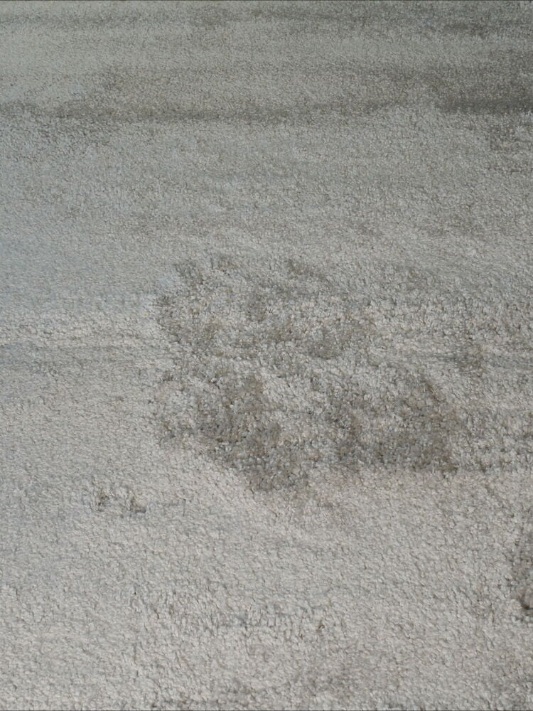 Grauer, weicher Teppich mit wollähnlichem Aussehen.