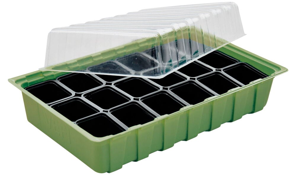 Grünes Minigewächshaus mit transparentem Deckel und schwarzen Töpfen.