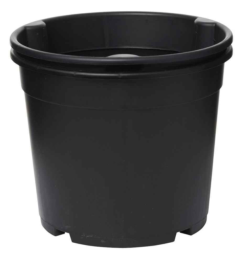 Schwarzer zweiteiliger Kartoffeltopf mit Abflusslöchern.