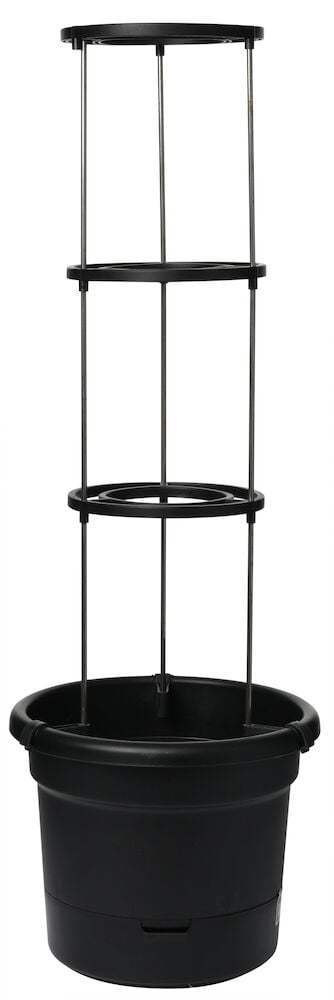 Svart tomatkruka med hög spaljé för växter.