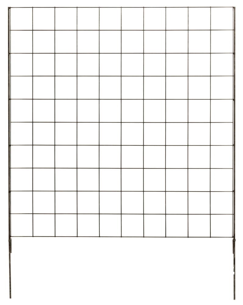 Rektangulär spaljé i rutmönster av råjärn.