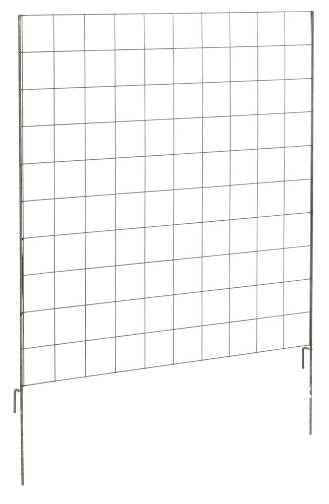 Rutformad järnspaljé för pallkrage i trädgården.