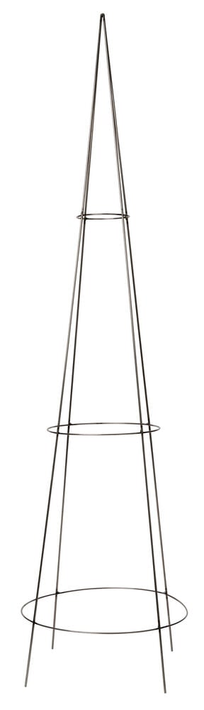 Konformad spaljé i järn för trädgårdsväxter.