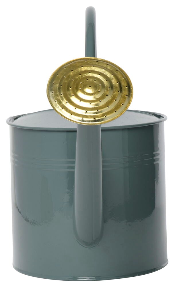 Grågrön metallvattenkanna med guldfärgat munstycke.