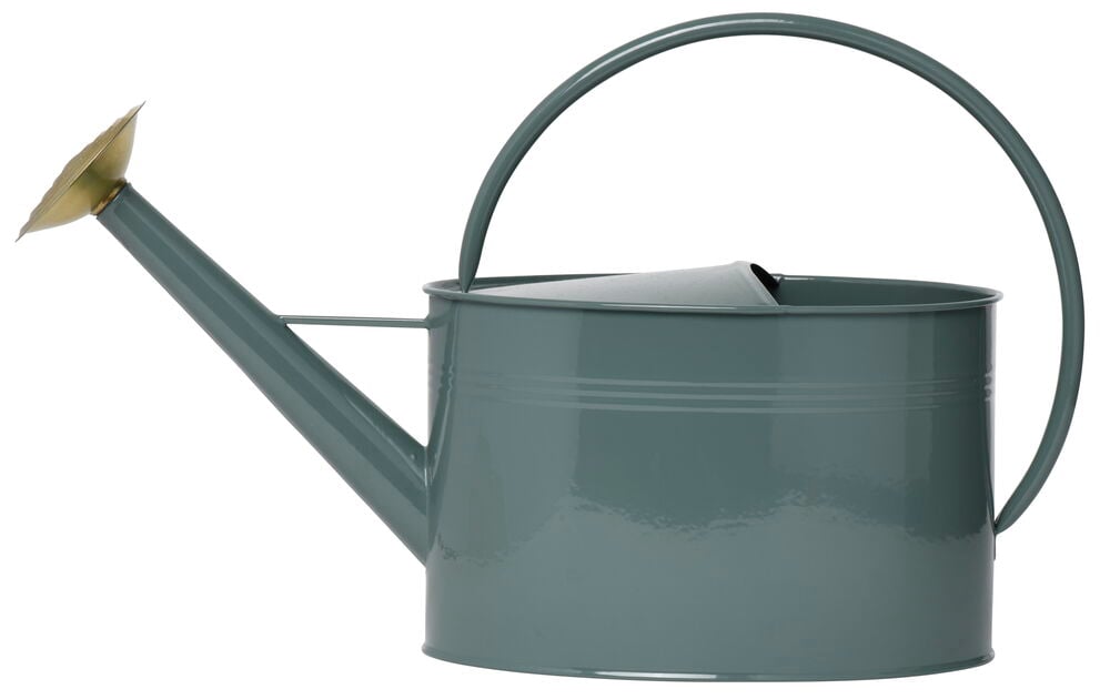 Grön och grå metallvattenkanna med guldfärgat munstycke.