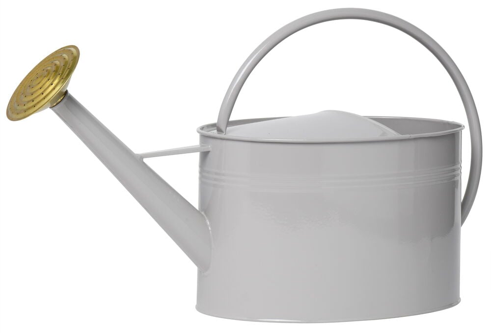 Grå metallvattenkanna med guldfärgat munstycke.