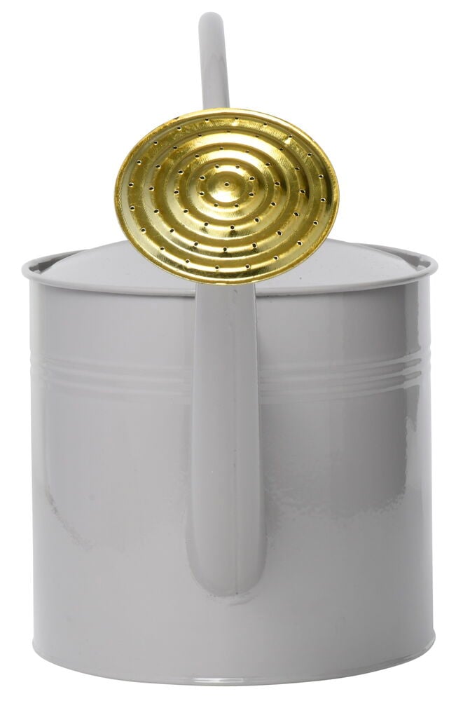 Grå vattenkanna i metall med guldfärgad pip.