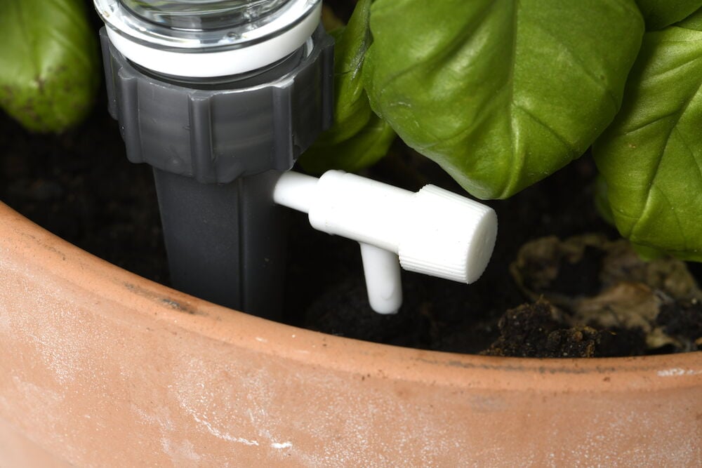 Tropfbewässerungseinheit in einem Blumentopf mit Pflanzen installiert.