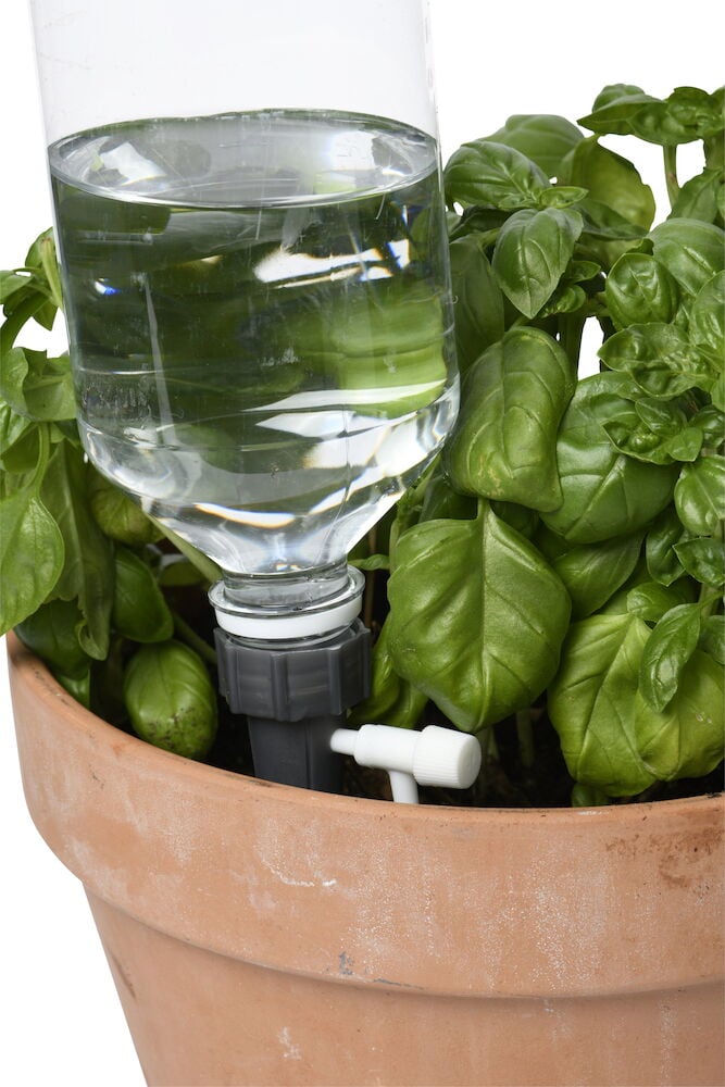 Tropfbewässerungssystem in einem Tontopf mit grünen Pflanzen.