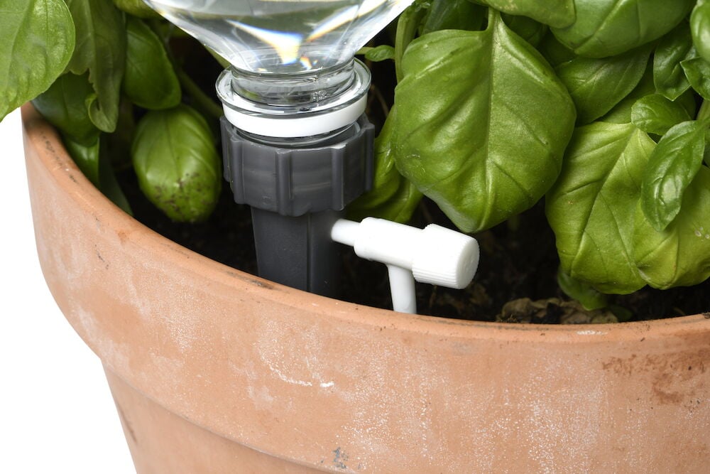 Tropfbewässerung in einem Topf mit Grünpflanzen.