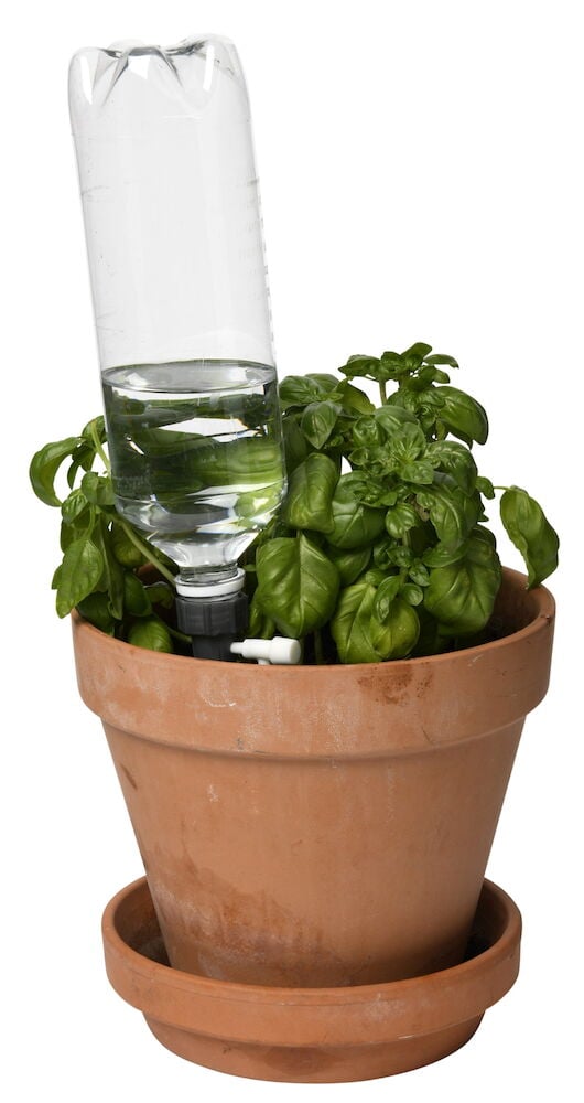 Tropfbewässerung im Topf mit mit Wasser gefüllter PET-Flasche.