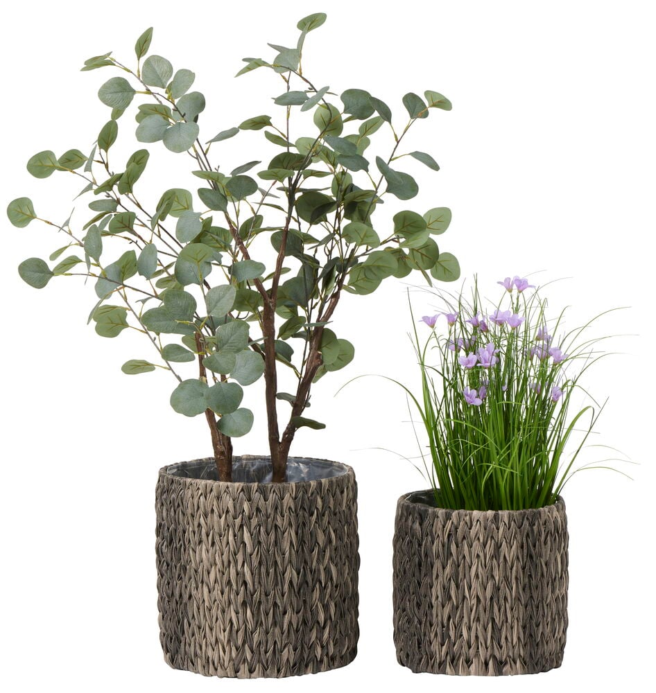 Blomsterkrukkesett Malaga