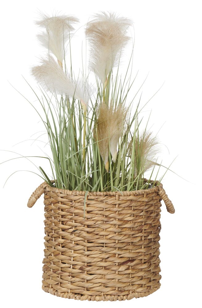 Flätad vattenhyacintkruka med dekorativt gräs.