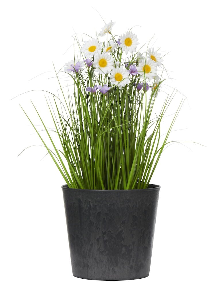 Mörkgrå kruka med naturinspirerat mönster och växt.