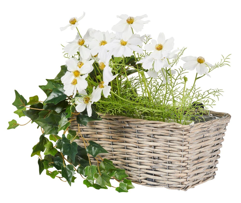 Geflochtener Blumenkasten mit weißen Blumen und grünen Blättern.