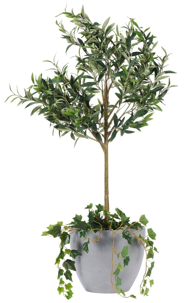 Grauer Topf mit grünem Baum und hängenden Pflanzen.