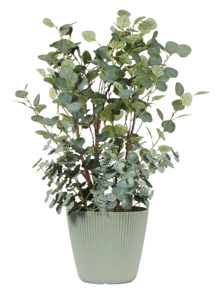 Grön kruka med tidlös design och stora gröna växter.