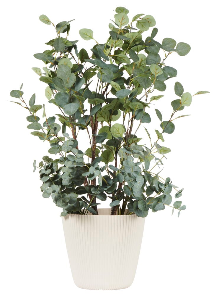 Ljus sandfärgad plastkruka med grön växt.