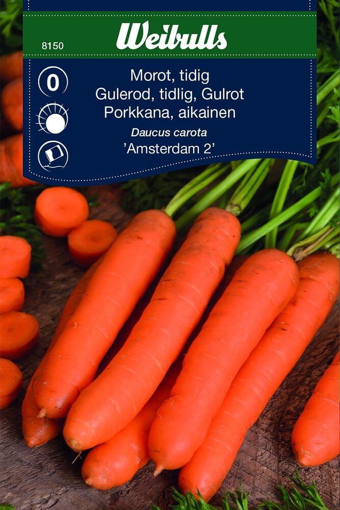 Useita tuoreita porkkanoita lehtineen puupöydällä.