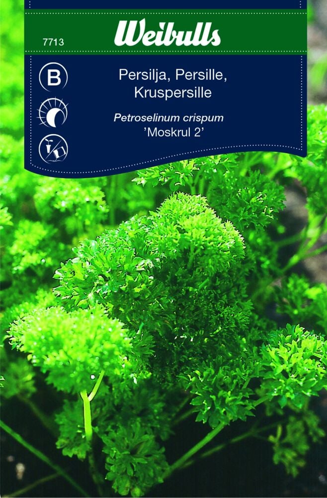 Lähikuva kihara vihreä persilja etiketillä.