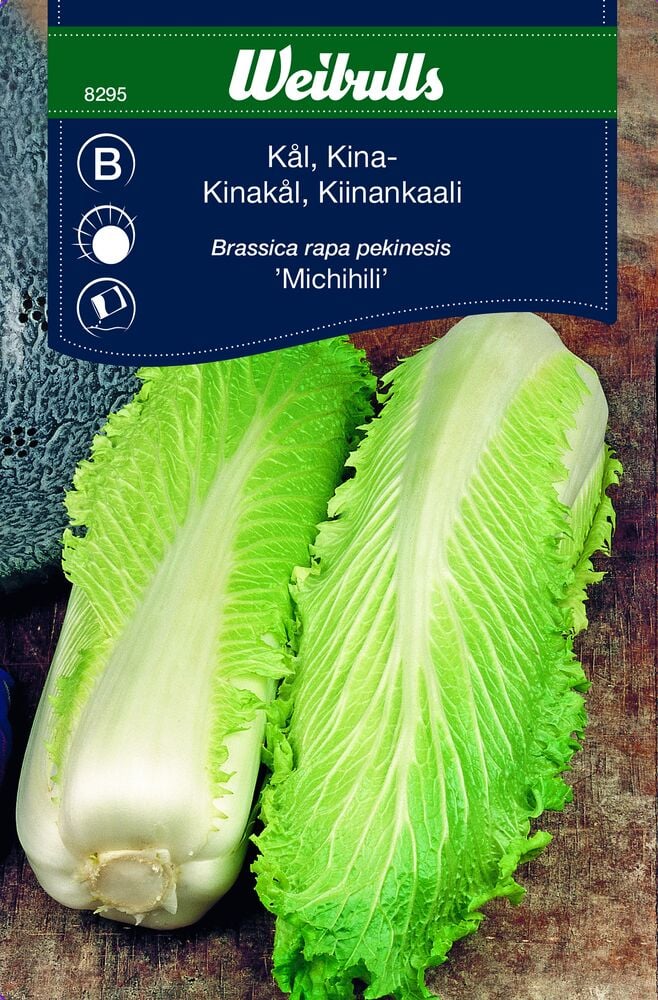 Kaksi tuoretta kiinankaalin päätä puupinnalla.