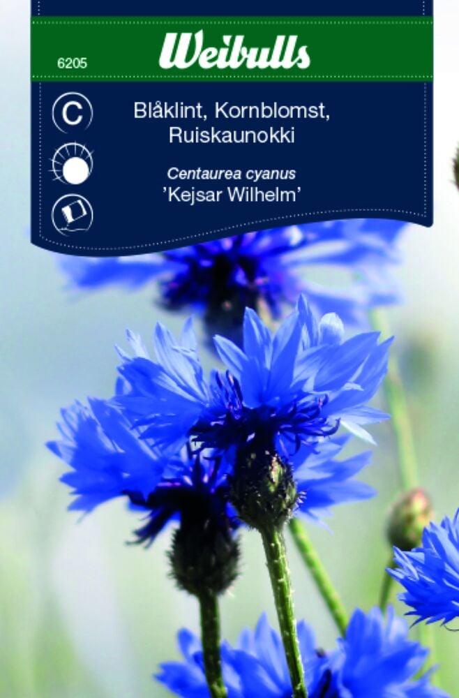 Lähikuva ruiskaunokin kukista Weibullsin siemenpussissa.