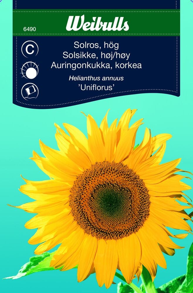 Siemenpussi, jossa kuva keltaisesta auringonkukasta.