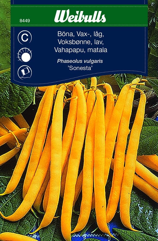 Keltaisia vahayviä pensaspavuissa vihreillä lehdillä.