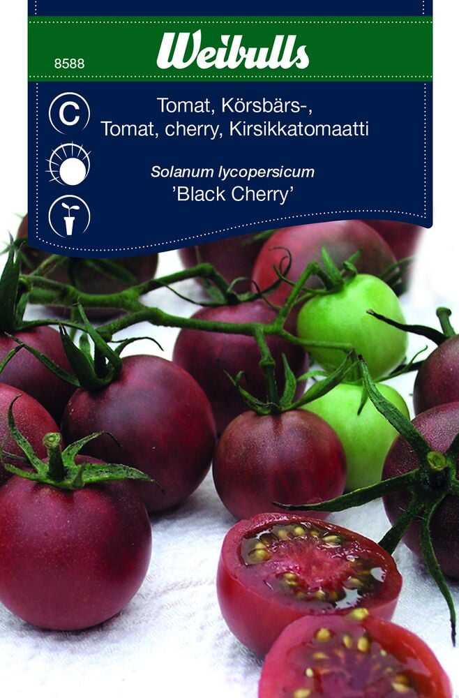 Tummanpunaisia kirsikkatomaatteja ja vihreitä kypsymättömiä tomaatteja.