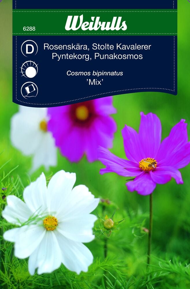 Vaaleanpunaisia ja valkoisia kukkia vihreällä taustalla.