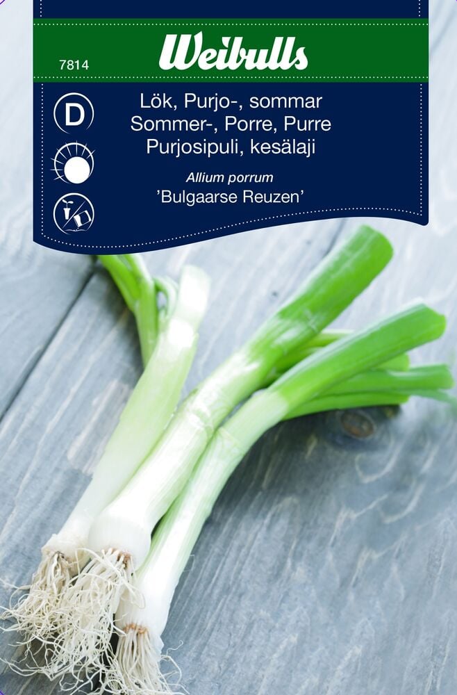 Kaksi tuoretta purjosipulia harmaalla puupöydällä.