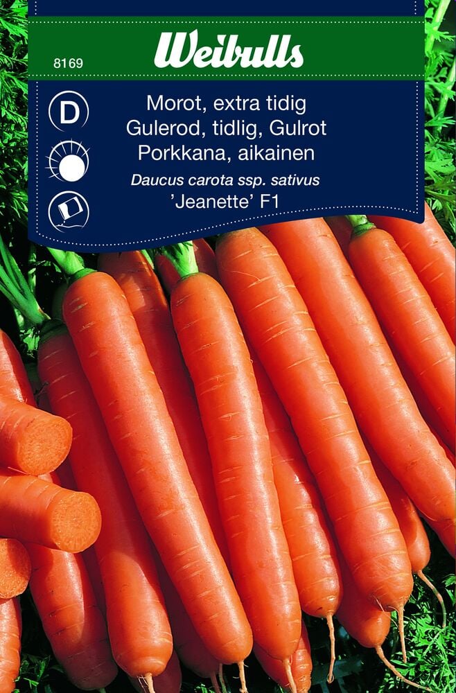 Porkkanansiemeniä pussissa oransseilla porkkanoilla