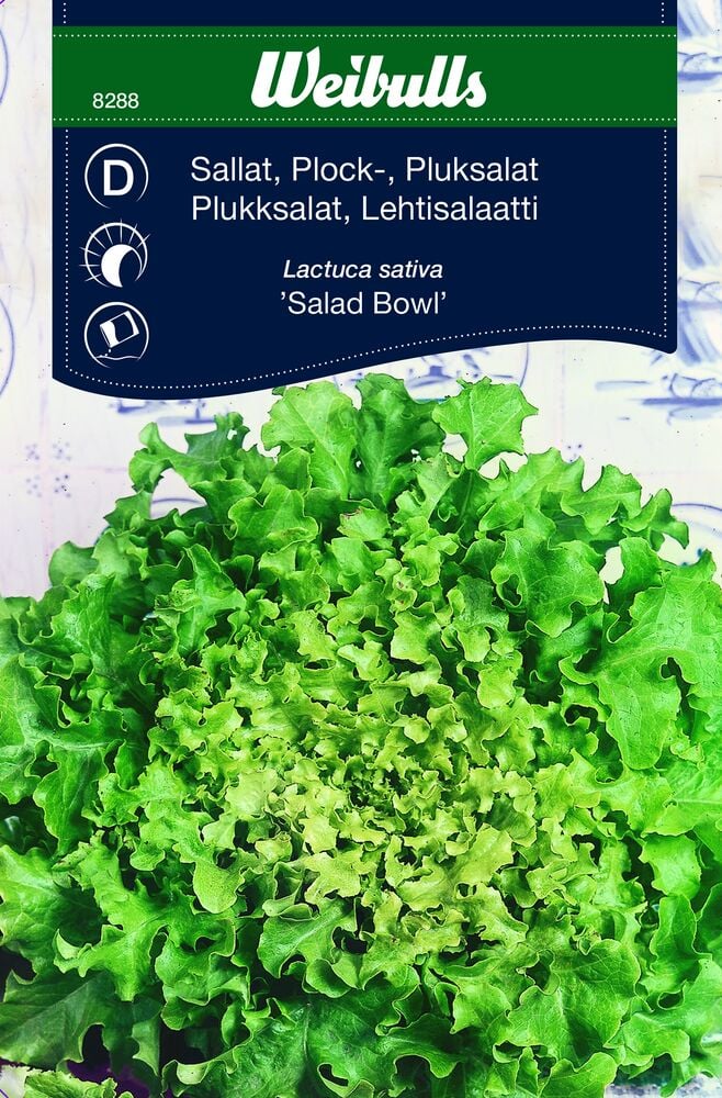 Pussi vihreää poimittua salaattia etupuolella.