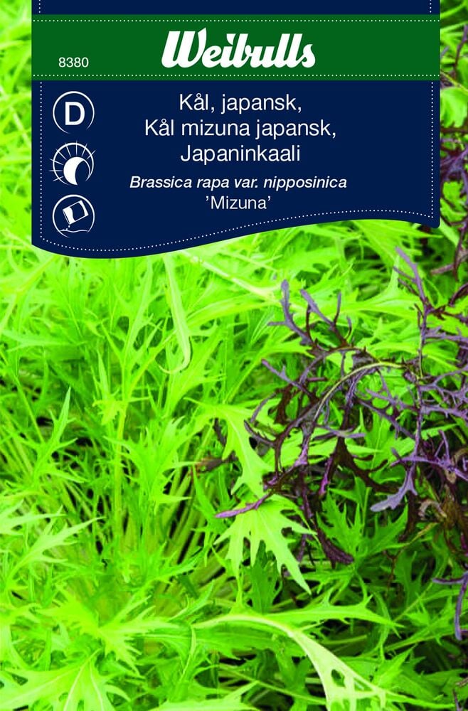 Japanilaisen kaalin vihreät ja punaiset syvään leikatut lehdet.