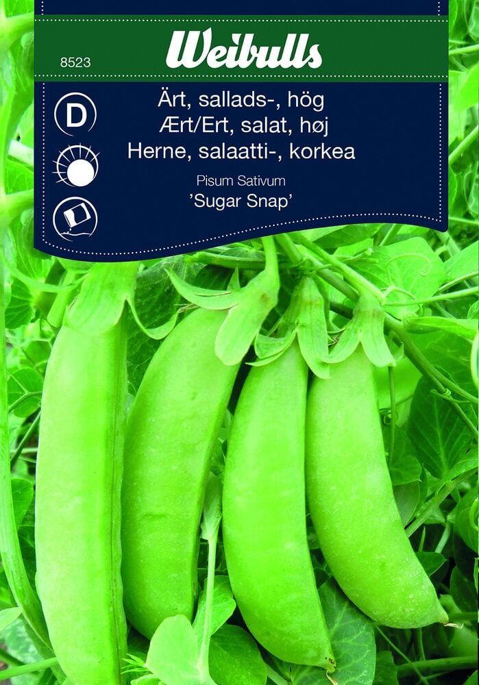 Neljä vihreää sokeriherneen palkoa kasvissa lehtineen.