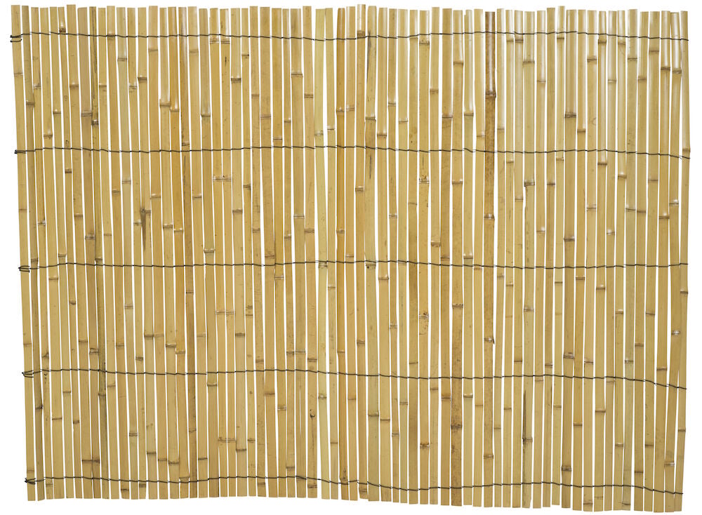 Innsynsvern av bambus for hage og innendørs.