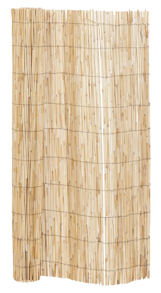 Et naturlig innsynsvern av siv med tråddetaljer.