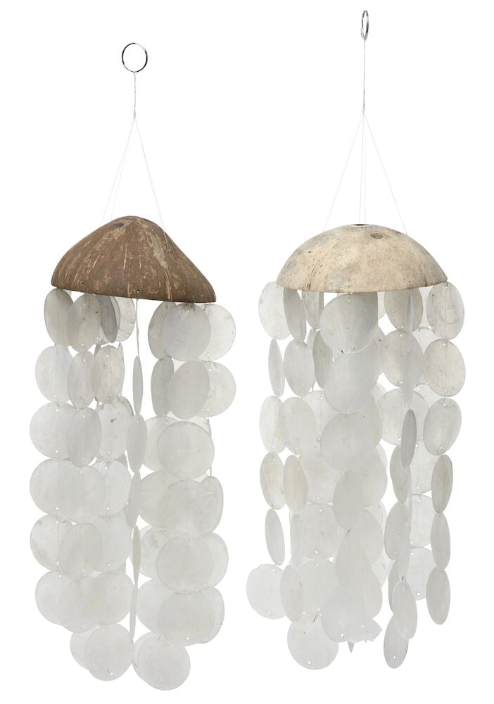 To vindspill av kokosnøtt og hvite skjell.