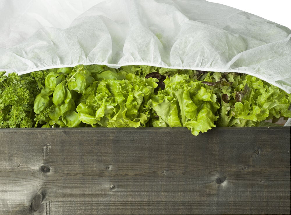 Valkoinen kuitukangas salaatin päällä lavakauluksessa.