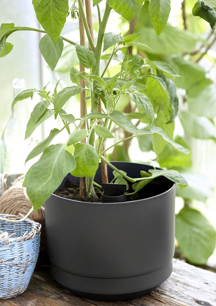 Musta itsestään kastuva ruukku, jossa vihreä kasvi sisätiloissa.