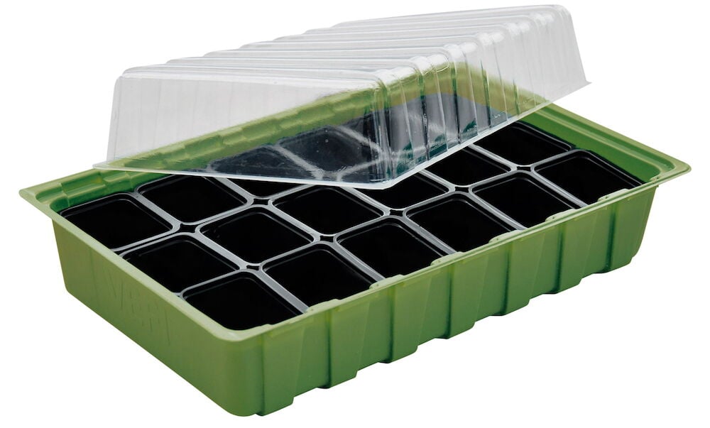 Grünes Minigewächshaus mit durchsichtigem Deckel und Einsatz-Töpfen.