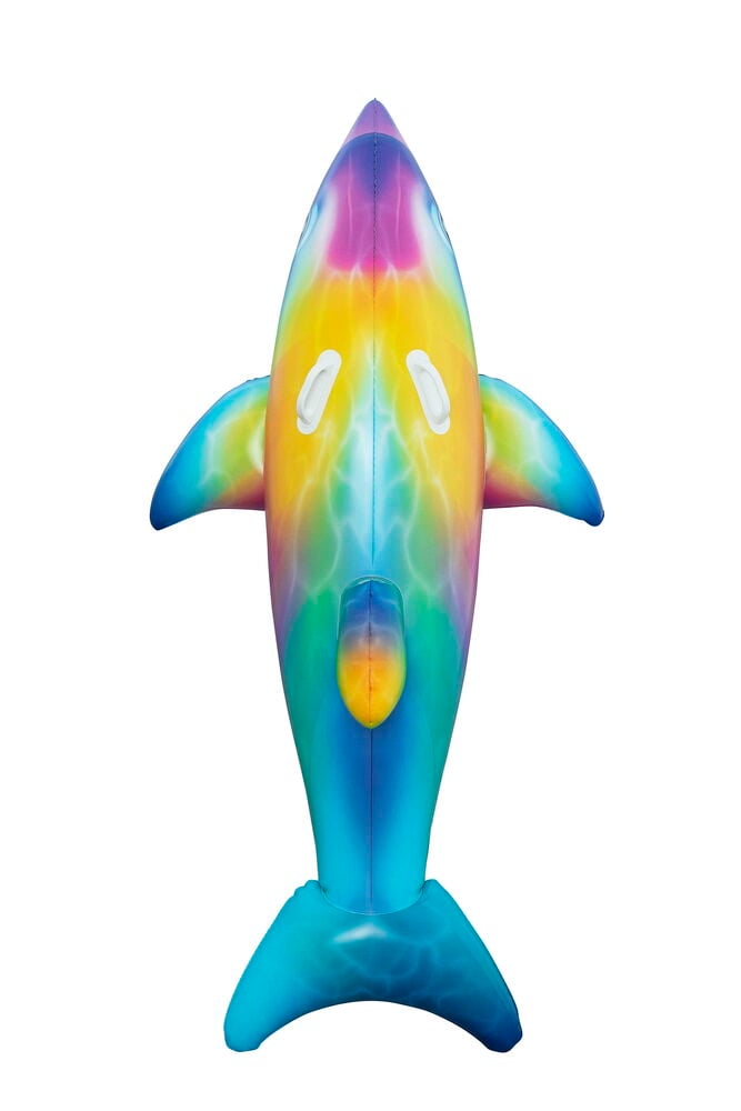 Regnbågsfärgad uppblåsbar delfin vattenleksak med två vita handtag, sedd ovanifrån.