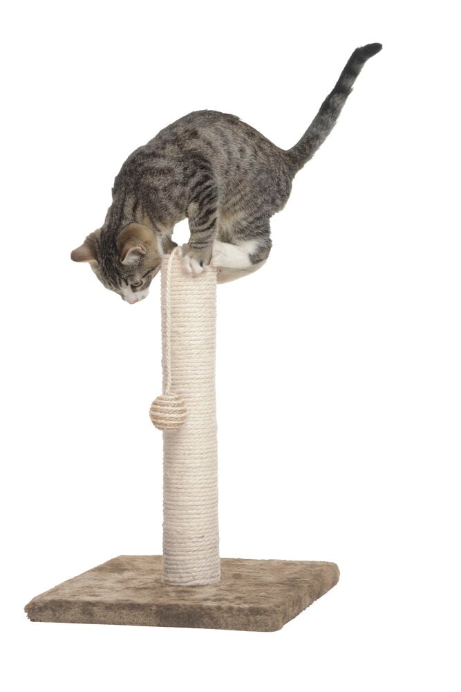 Klorestang med ball - 3