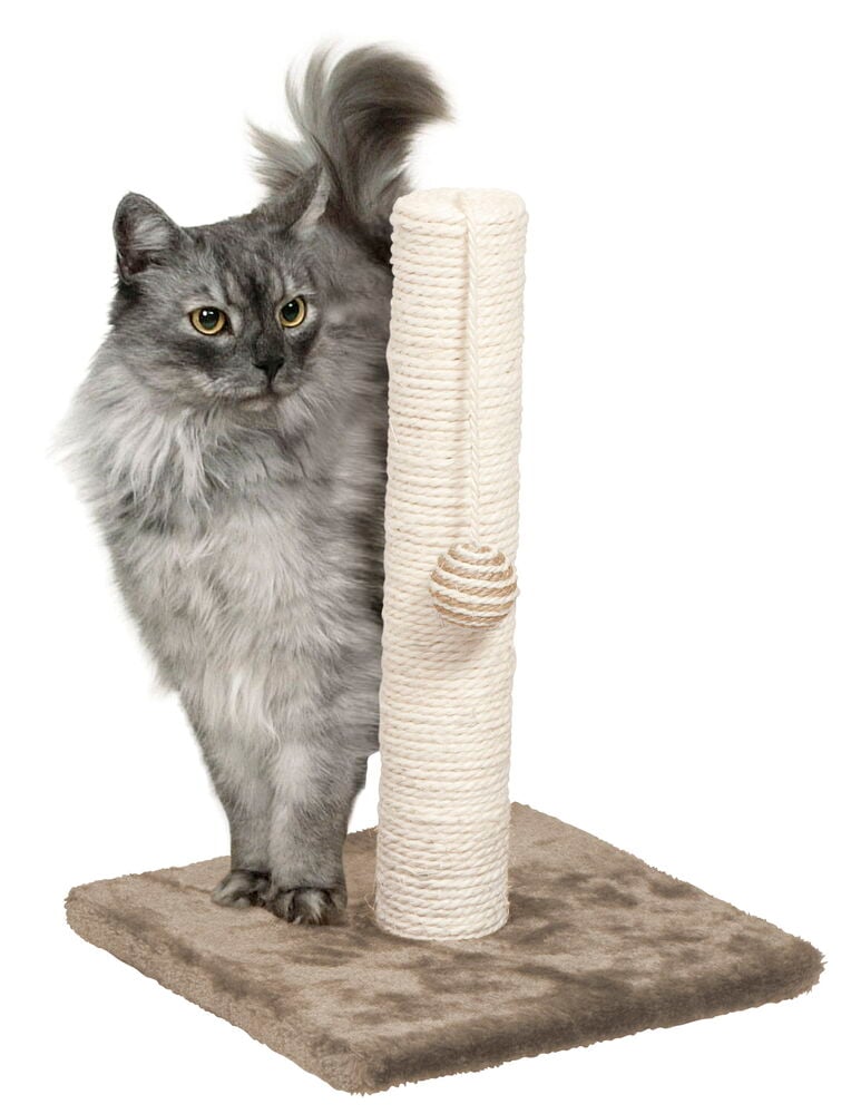 Klöspelare med boll