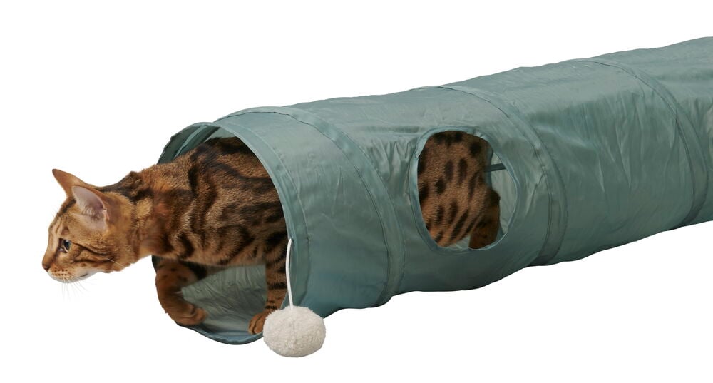 Katt i grön kattunnel med hängande boll.