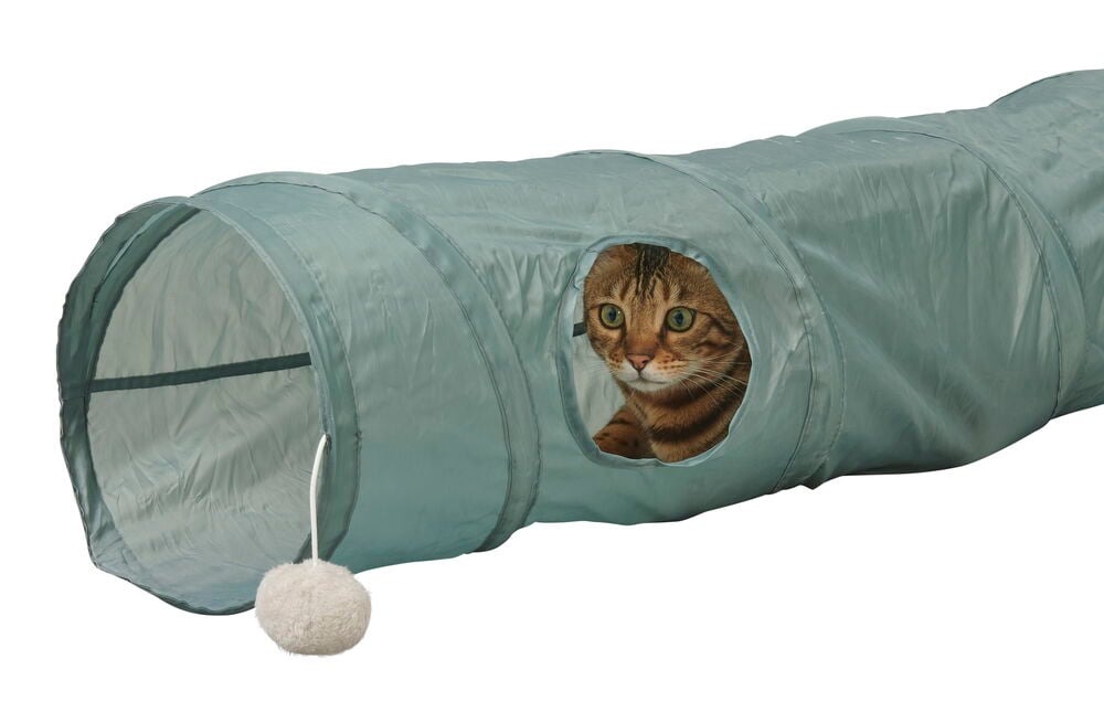 Grön kattunnel med katt och hängande boll.