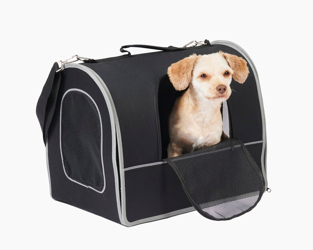 Svart djurtransportväska med öppen nätlucka och hund.