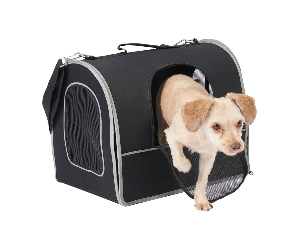 Liten hund kliver ut ur svart djurtransportväska.