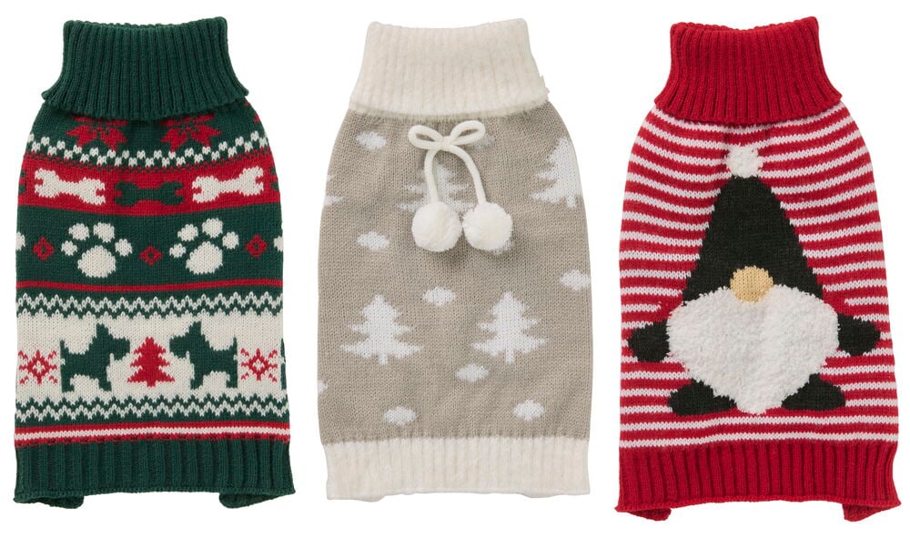 Hundtröja Pet Club - 6